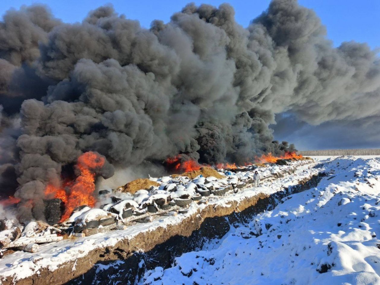 В Москаленском районе заметили сжигание туш скота телеграм- канал (18+) &quotЧП Омск&quot