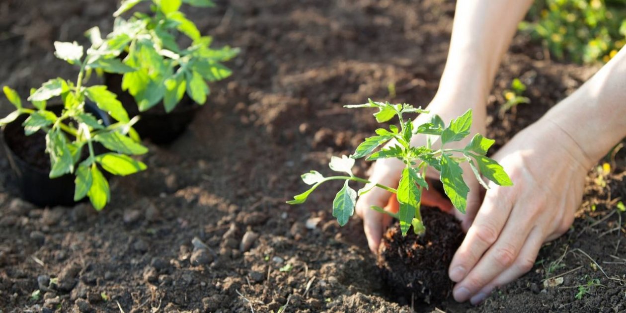 Тематическое фото Автор канала