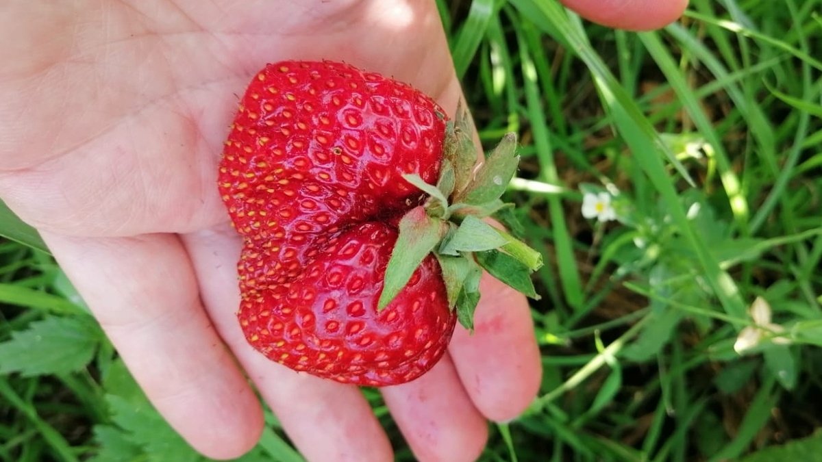 Тематическое фото Автор канала