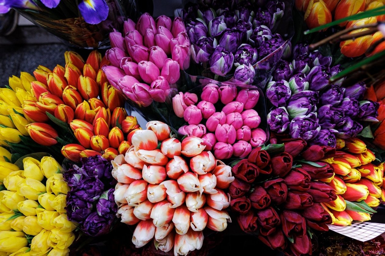 Тематическое фото Евгений Кулешов, ИА PrimaMedia