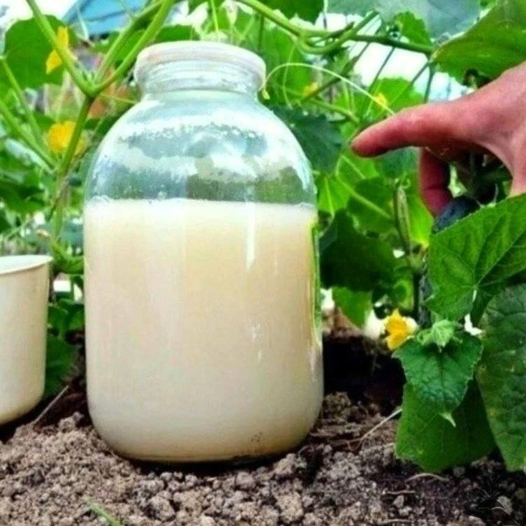 Тематическое фото Автор канала