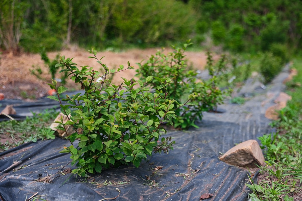 Тематическое фото ИА OmskMedia