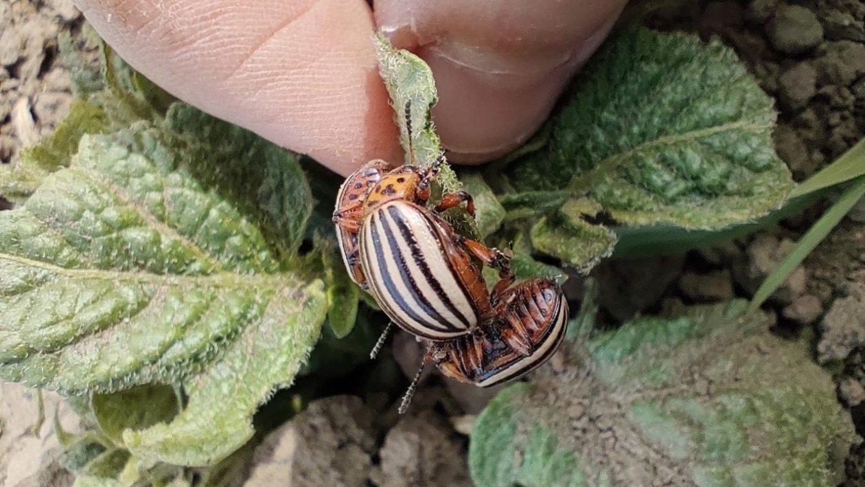 Тематическое фото От автора