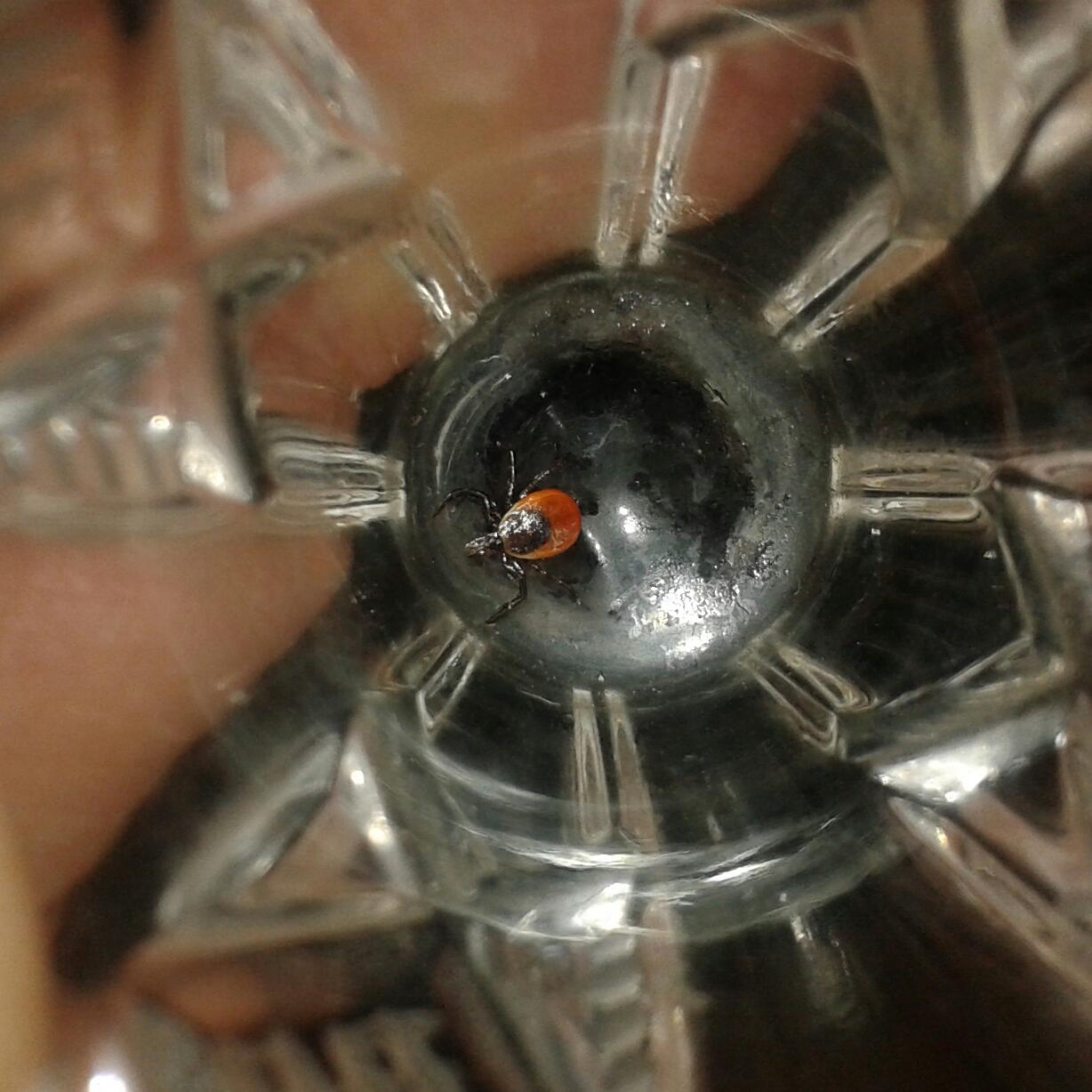 Тематическое фото Кирилл Роткин, ИА IrkutskMedia