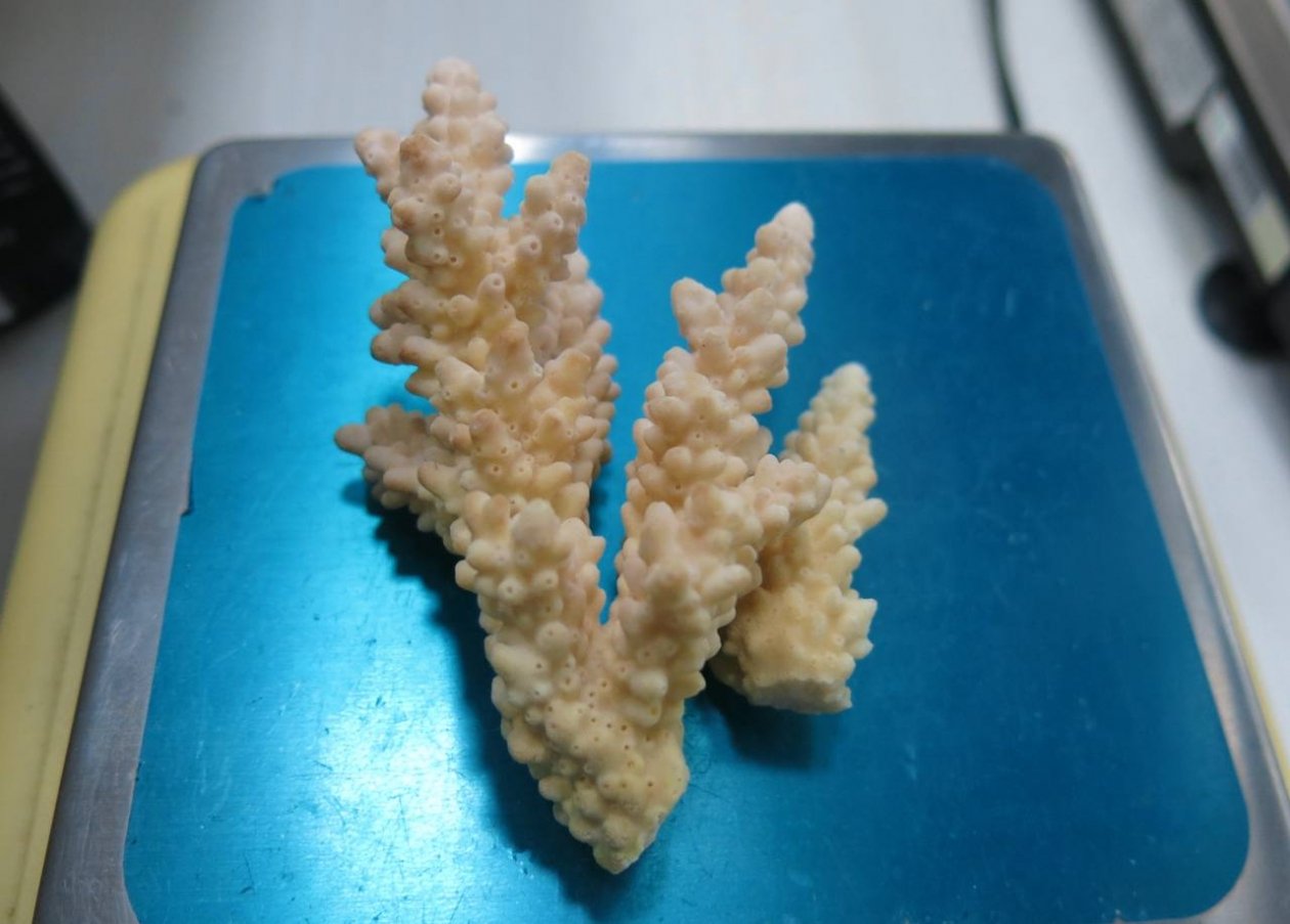 Омская таможня