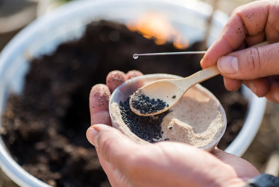 Тематическое фото сгенерировано при помощи ИИ