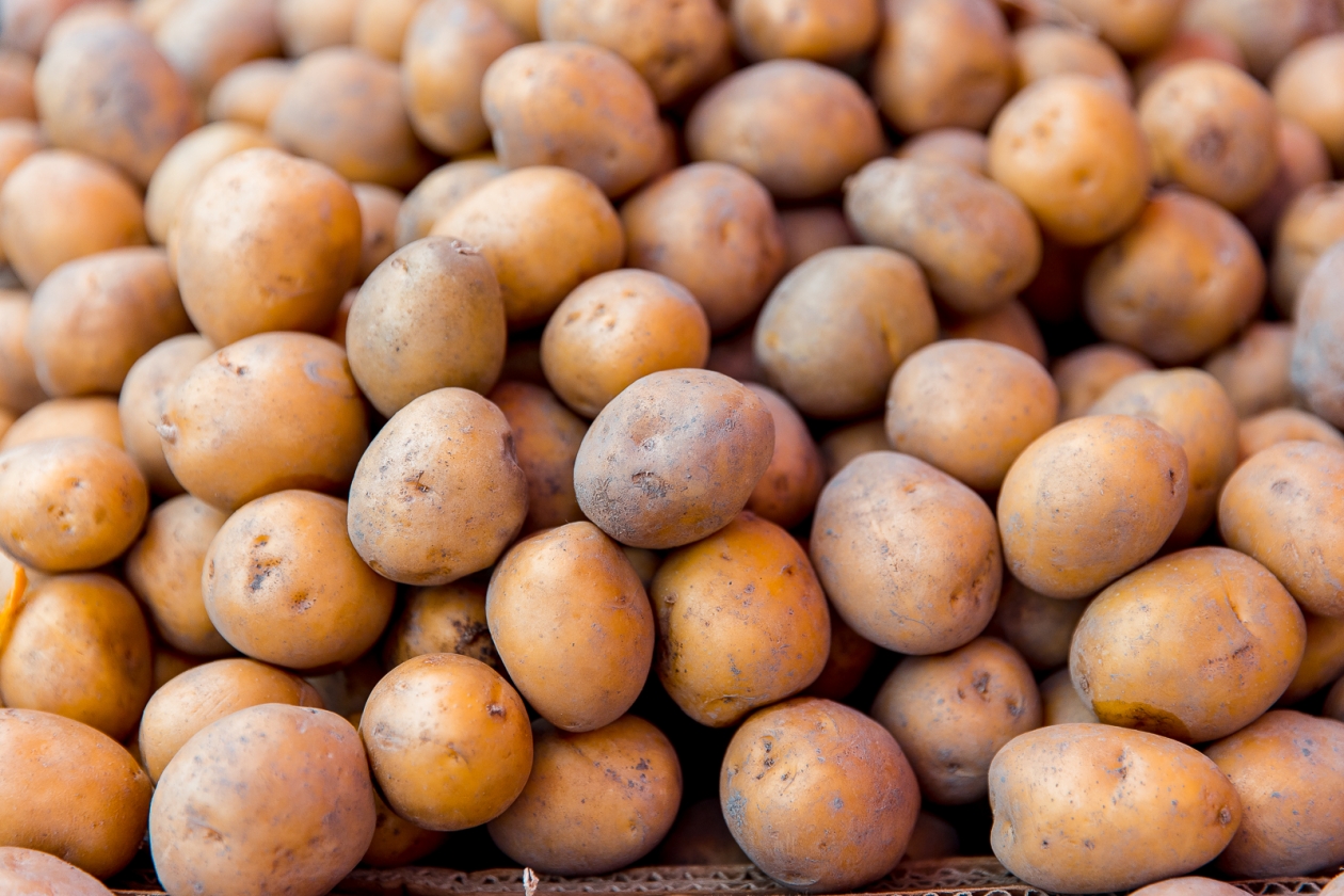 Тематическое фото ИА OmskMedia